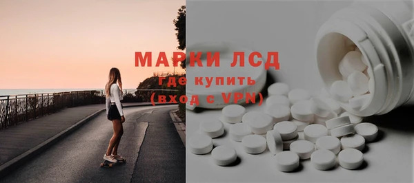 сатива Аркадак